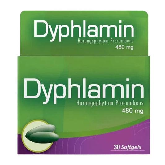 DYPHLAMIN ( HARPAGO ) 480 MG * HEALTHY AMERICA