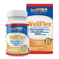 WELLFLEX ( GLUCOSAMINE-CHONDOITRIN-MSM) x 60 CAPLETS * HEALTHY AMERICA